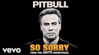 Pitbull - So Sorry (From the "Gotti" Soundtrack)