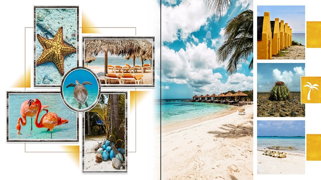 Video 142. Meervoudige fotokaders