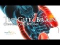 "Of Bowels, Bacteria, & Brains" (Gut/ Brain Summit #1)