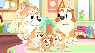 Brandy And Frisky's Kids?! New Characters In Bluey Season 4!