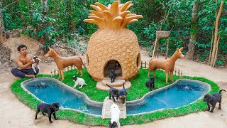 Dog rescue Build fish pond around Pineapple House - Build Dog House