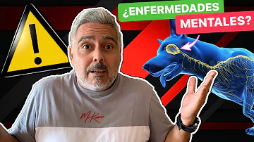 ¿Es la ansiedad una enfermedad mental en los perros?