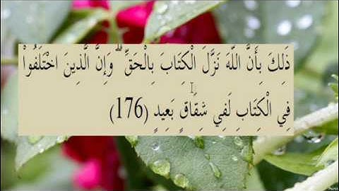 القران الكريم سورة البقرة الاية 176