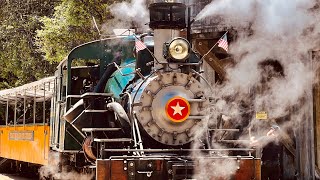 REDWOOD FOREST STEAM TRAIN - Roaring Camp - Henry Cowell Redwoods State Park
