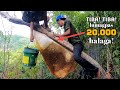 Tiba tiba lumagpas 20000 halaga ang nakuha naming pulot pukyutan masive honey harvesting