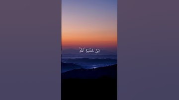 لو أنزلنا هذا القرآن على جبل | تلاوة خاشعة تصوت ماهر المعيقلي