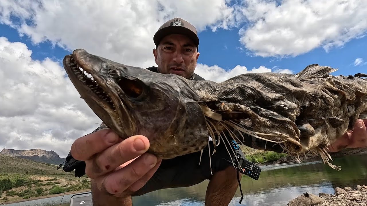 Comiendo lo que pesco, PESCA Y COCINA, 