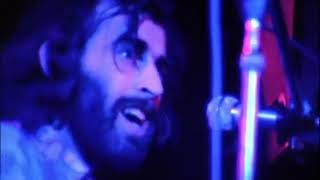 Video thumbnail of "Richard Manuel - I shall be released"
