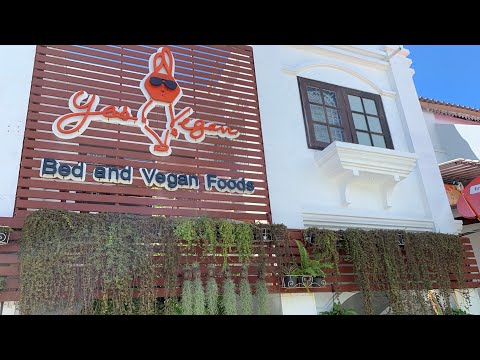 Yes Vegan Pattaya อาหารวีแกนแสนอร่อยที่พัทยา | Hello Vegan Thailand 🇹🇭