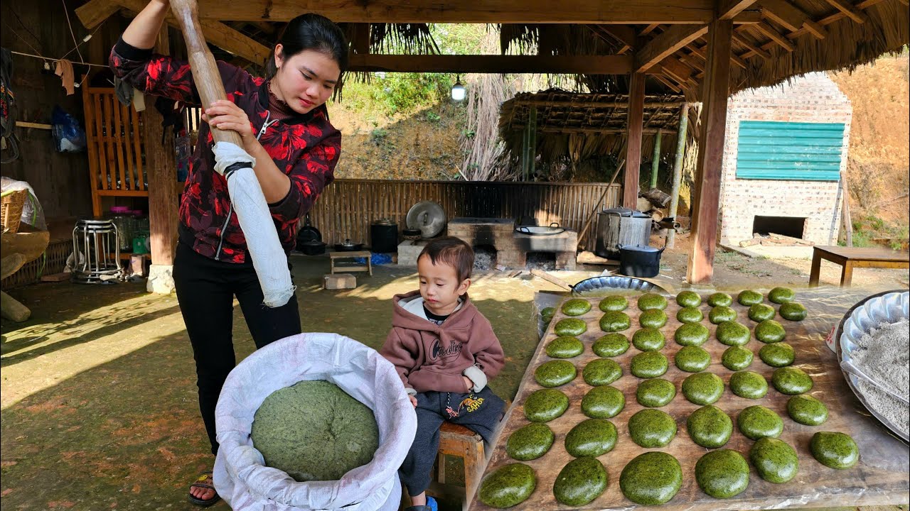 Harvesting Mugwort Leaves and Making Delicious Traditional Cakes to Sell at the Market | in Vietnam