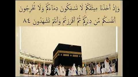 تعليم القرآن الكريم مع شرح أحكام تجويد سورة البقرة من الآية 84 إلى 85