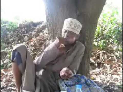 مصطفى الشرعبي الشنطه الحمرا