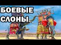 Боевые слоны против монгольской конницы в Age of Empires IV