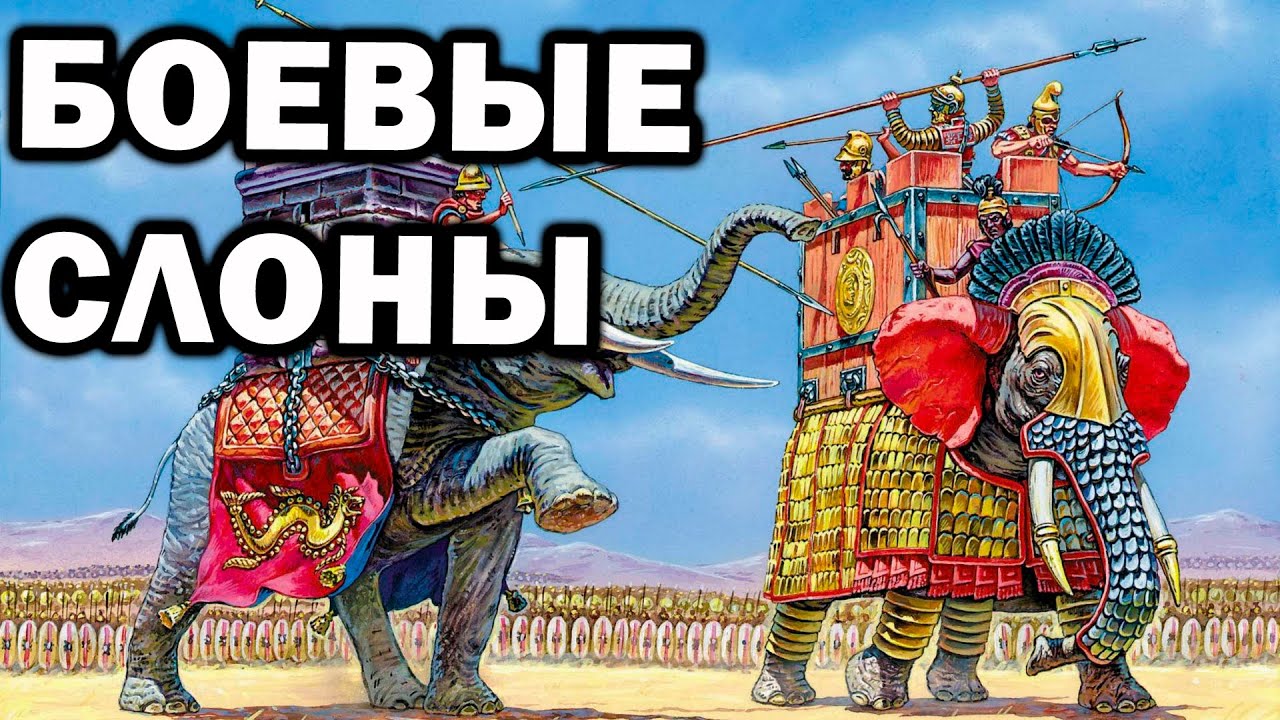 Боевые слоны против монгольской конницы в Age of Empires IV - YouTube