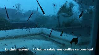 Обложка Ouragan IRMA Saint Barth 06 07 09 2017 Скачать Ouragan IRMA Saint Barth 06 07 09 2017