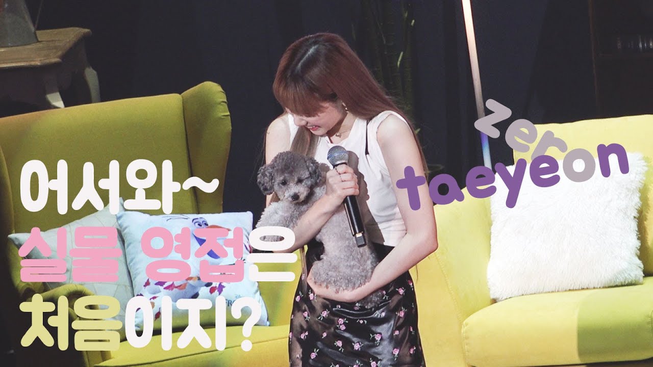 191123 태연 x 제로 (feat. 제로 실물 처음 영접한 소원 주접) / TAEYEON Zero 팬미팅 직캠 4k fancam
