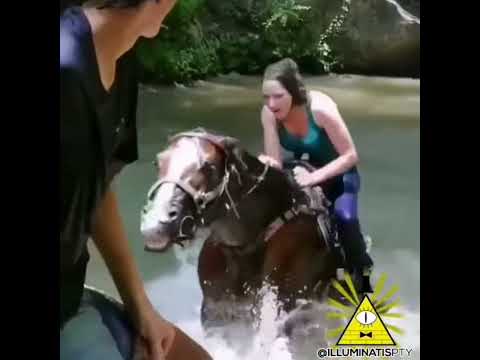 Video: ¿Puedes nadar en el lago caballo?