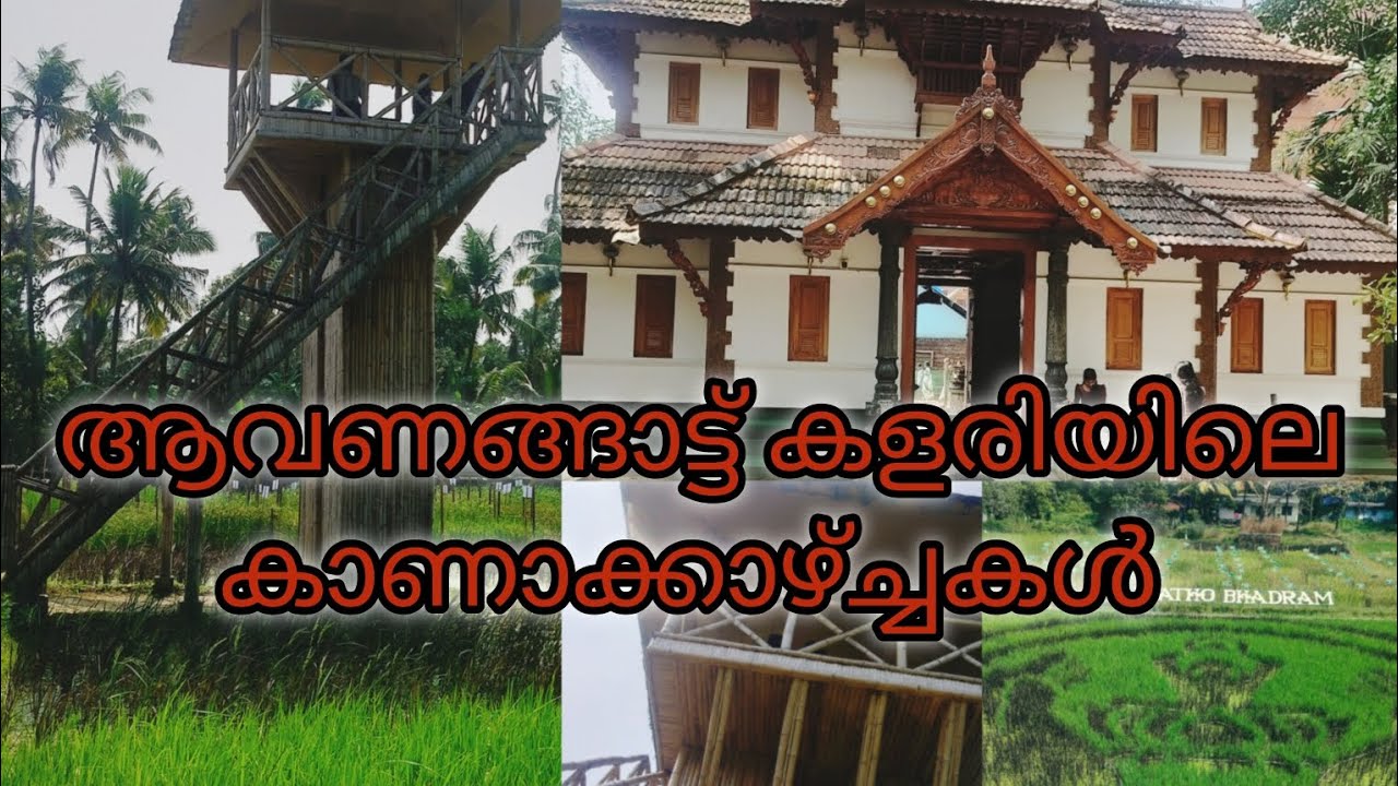 പെരിങ്ങോട്ടുകര ശ്രീ ആവണങ്ങാട്ടിൽ കളരി വിഷ്ണുമായ ക്ഷേത്രത്തിലെ  മനോഹാരിത