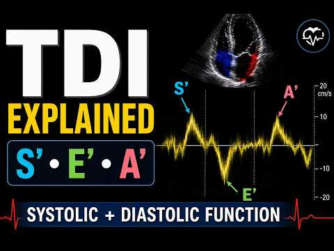 Tissue Doppler Imaging (TDI) Explained: S′, E′ & A′ | Assessing Systolic and Diastolic Function