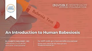An Introduction to Human Babesiosis