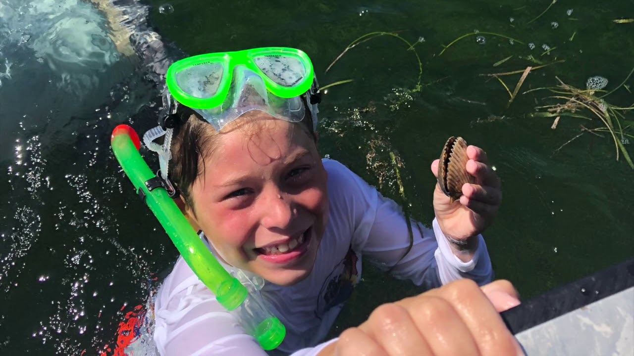 Crystal River Scalloping 2019 YouTube