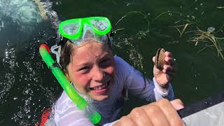 Crystal River Scalloping 2019