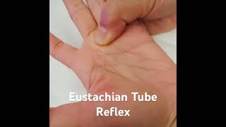 Eustachian Tube Reflex