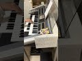 DragonballZ/FOREVER〜/清岡千穂/佐藤大/山本健司/影山ヒロノブ