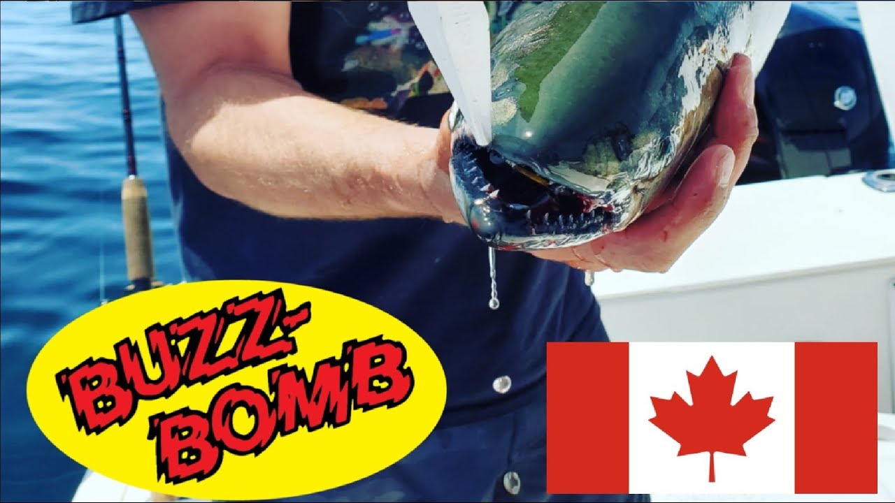 Buzz Bomb Jigs, Jigs -  Canada