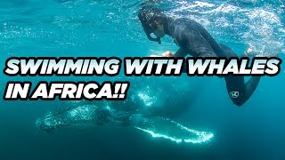 GARRETT LEFT US IN AFRICA!! TO GO CHASE WHALES, SHARKS and SARDINES!!