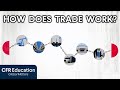 Global Trade Networks and Mercantilism in Historical Context