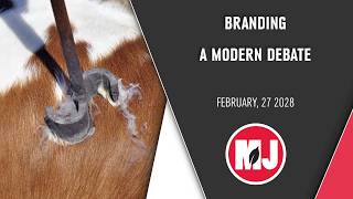 Branding | Steve White | February 27, 2028