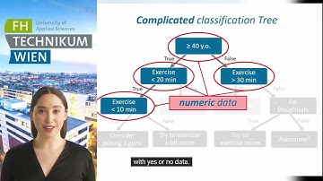 Video 1 - Introduction to the Decision Trees