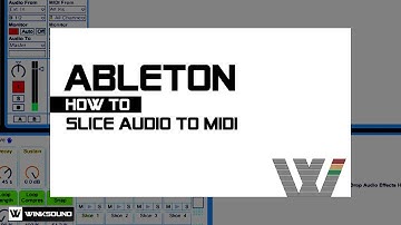 Ableton Live: How To Slice Audio to MIDI | WinkSound