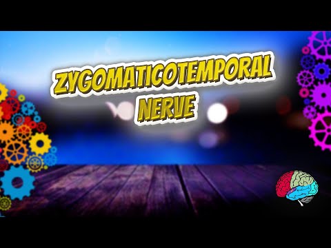 Video: Co je zygomaticotemporální foramen?