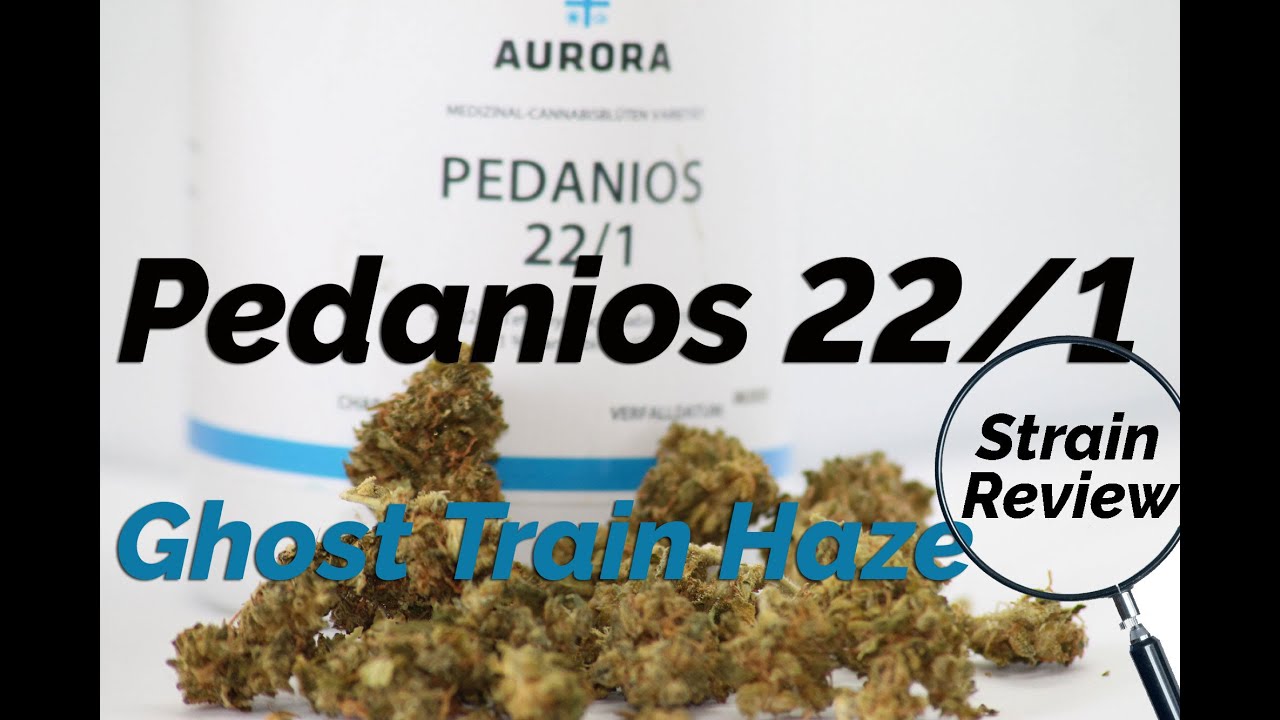 Pedanios 22/1 - Ghost Train Haze - Geruch, Geschmack, Wirkung, Terpen Profil