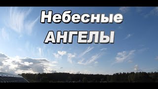 Небесные ангелы и серые будни. Ускоренное видео