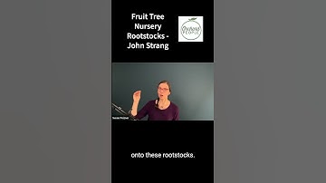 Fruit Tree Nursery Rootstocks with John Lang 🍎🌳😀 #shorts #rootstock #appletrees