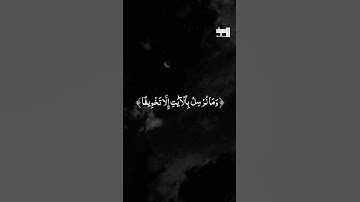 تلاوة من سورة الإسراء | القارئ محمد اللحيدان