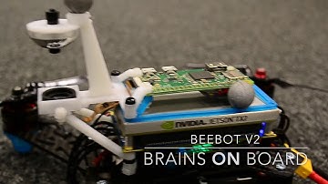 Introducing the BeeBot V2
