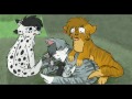 Middle of video