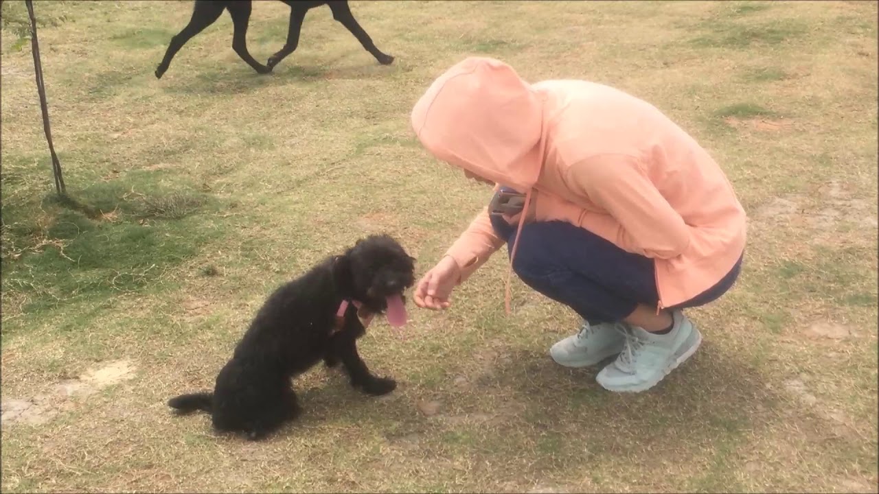 Tenny is sweet meeting strangers.