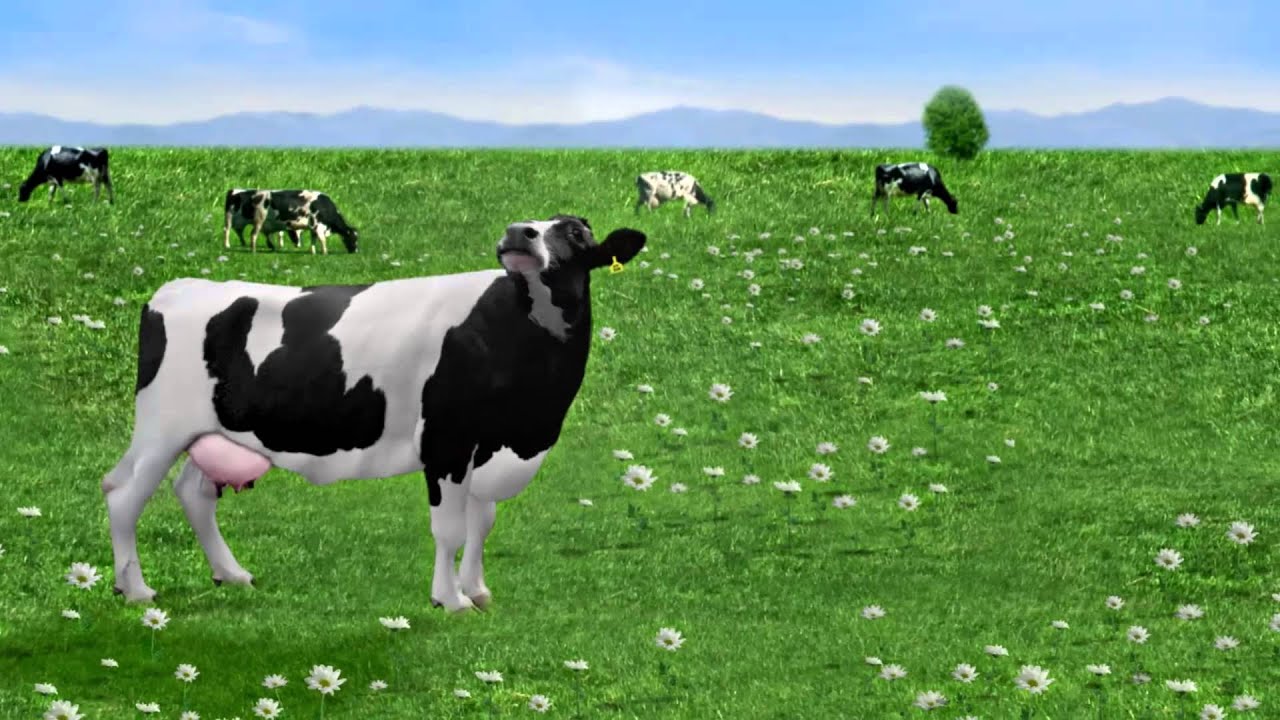 Sữa tiệt trùng NutiFood