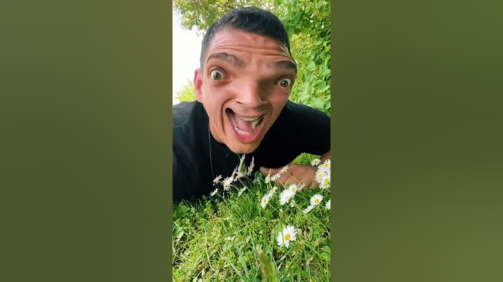 Ich mag Gänseblümchen‼️ #shorts