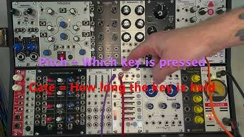 What is a Basic Synth Voice? (Modular Synth 101 | Part 6)