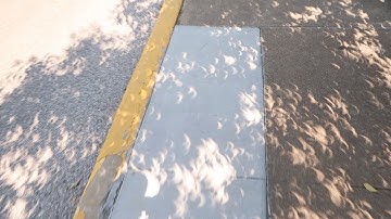 Crescent Shadows From Trees 2017 Eclipse