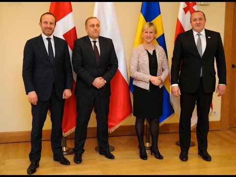 პრეზიდენტი საგარეო საქმეთა მინისტრებს შეხვდა