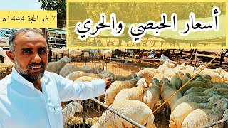 #سوق_الغنم 🐏 با#المدينة_المنورة 🕌 أسعار اليوم بتاريخ 7 ذو الحجة 1444هجري