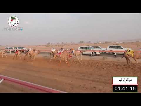 الشوط 9 الذهبية ل خميس سعيد الكعبي 2 17 شارة الشيخ محمد بن زايد آل نهيان 2021 7 2 الجبيب