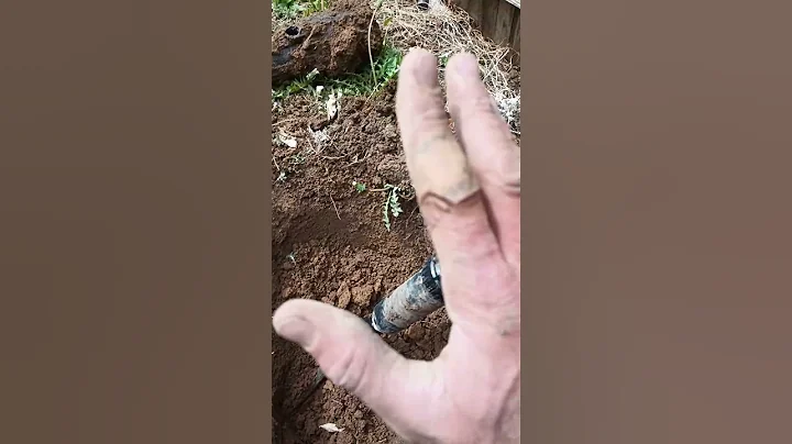 ALWAYS! Do THIS! 🤯🤗 sprinklers installed THE RIGHT WAY!! #shorts #diy #sprinkler